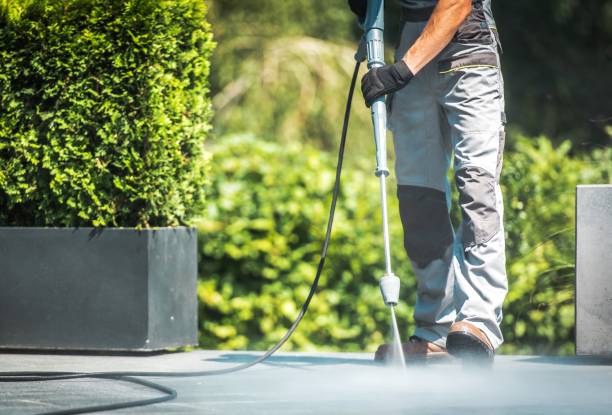 Best Gutter Cleaning  in Lake Lotawana, MO